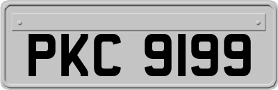 PKC9199