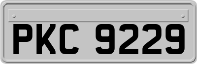 PKC9229