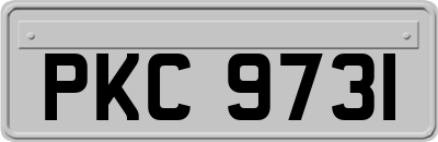 PKC9731