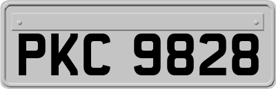 PKC9828