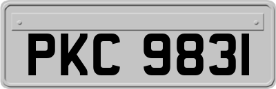 PKC9831
