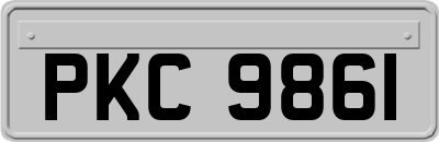 PKC9861