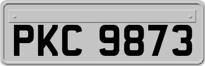 PKC9873