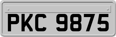 PKC9875