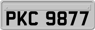 PKC9877