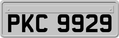 PKC9929