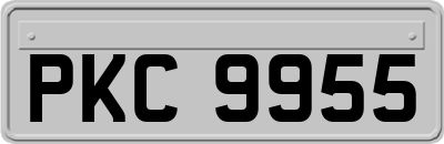 PKC9955
