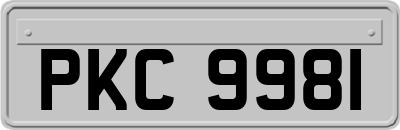PKC9981