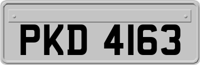 PKD4163