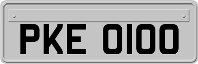 PKE0100