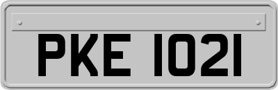 PKE1021
