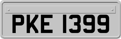 PKE1399