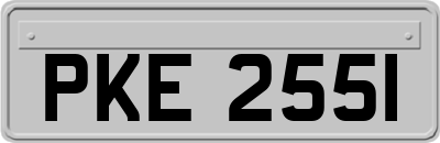 PKE2551