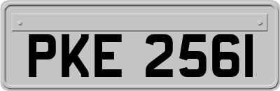 PKE2561
