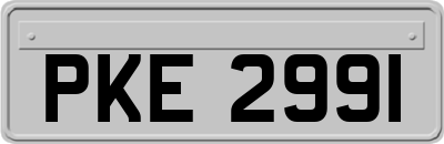 PKE2991