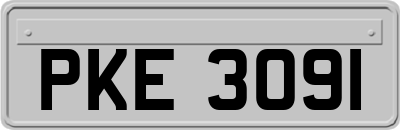 PKE3091