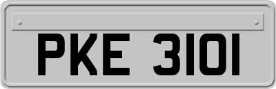 PKE3101