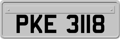 PKE3118