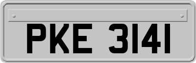 PKE3141