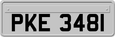 PKE3481