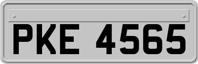 PKE4565