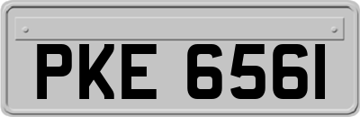 PKE6561