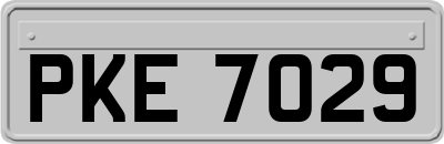PKE7029