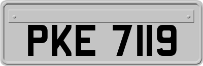 PKE7119