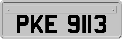 PKE9113