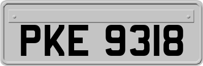 PKE9318