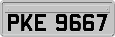 PKE9667