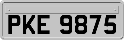 PKE9875