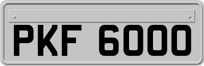 PKF6000
