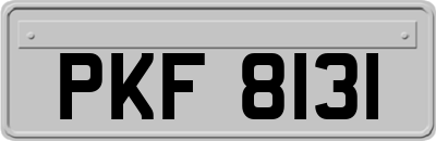 PKF8131