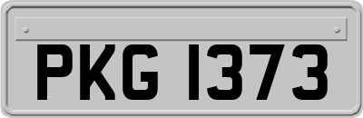 PKG1373