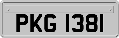 PKG1381