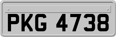 PKG4738
