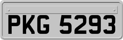PKG5293
