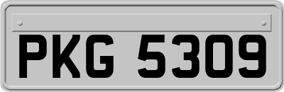 PKG5309