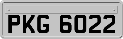 PKG6022