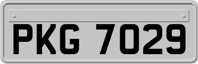 PKG7029