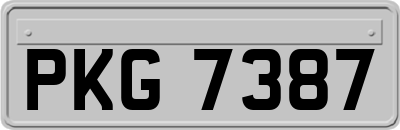 PKG7387