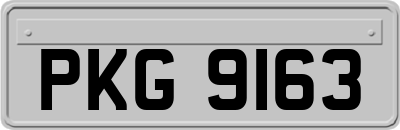 PKG9163