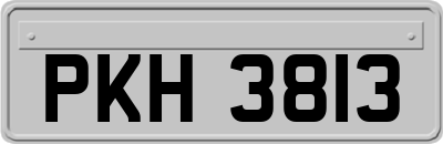 PKH3813