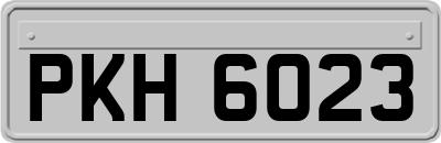 PKH6023