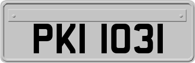 PKI1031