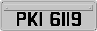 PKI6119