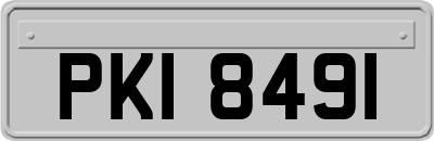 PKI8491