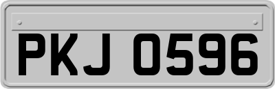 PKJ0596