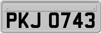 PKJ0743